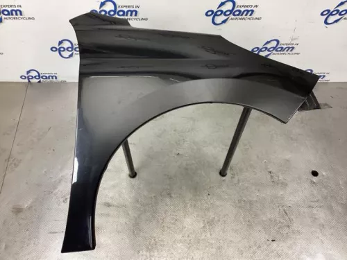 Scherm rechts-voor-8151539