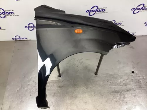 Scherm rechts-voor-8228934