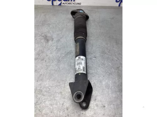 Schokdemper rechts-achter-8115269