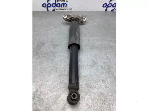 Schokdemperpoot links-achter-6919003