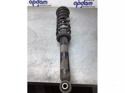 Schokdemperpoot links-achter-8059099