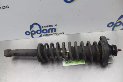 Schokdemperpoot links-achter-7876949