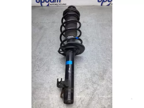 Schokdemperpoot links-voor-8051391