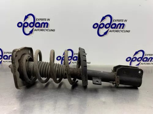 Schokdemperpoot links-voor-8266228