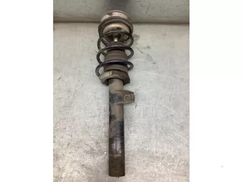 Schokdemperpoot links-voor-8200169