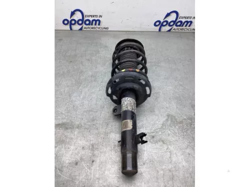 Schokdemperpoot links-voor-8083298