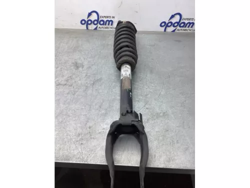 Schokdemperpoot links-voor-8115269