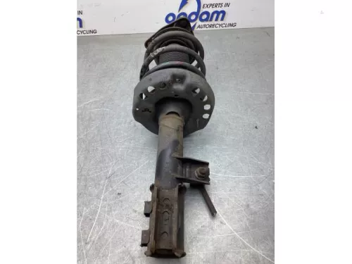 Schokdemperpoot links-voor-8069871