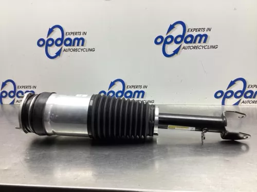 Schokdemperpoot links-voor-