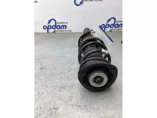 Schokdemperpoot links-voor-8192634