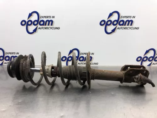 Schokdemperpoot links-voor-8183532