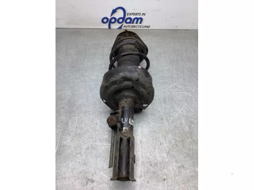 Schokdemperpoot links-voor-8024932