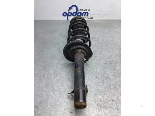 Schokdemperpoot links-voor-8069993