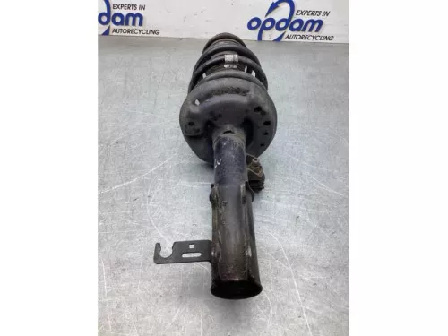 Schokdemperpoot links-voor-8096476