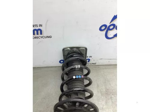 Schokdemperpoot rechts-voor-8177086 (22088553)