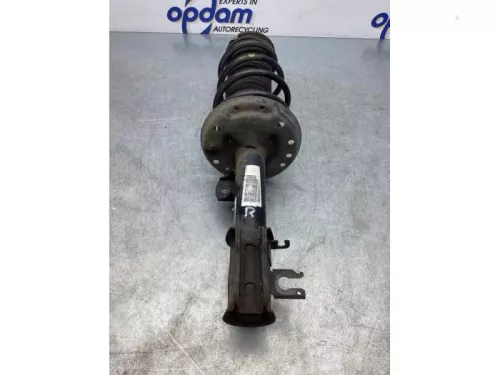 Schokdemperpoot rechts-voor-7471502