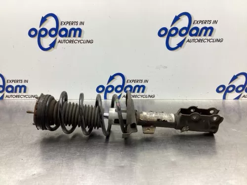 Schokdemperpoot rechts-voor-7922421