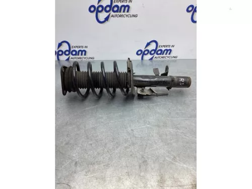 Schokdemperpoot rechts-voor-7716927
