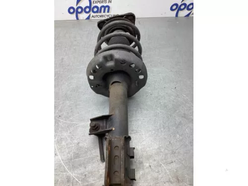 Schokdemperpoot rechts-voor-8069871