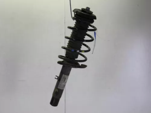 Schokdemperpoot rechts-voor-