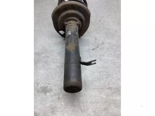 Schokdemperpoot rechts-voor-8223076