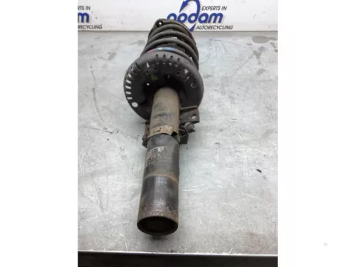 Schokdemperpoot rechts-voor-8245318