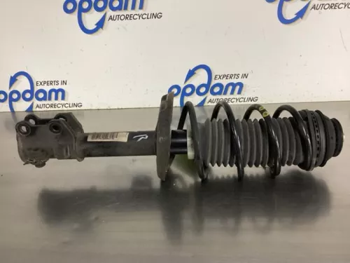 Schokdemperpoot rechts-voor-7613812