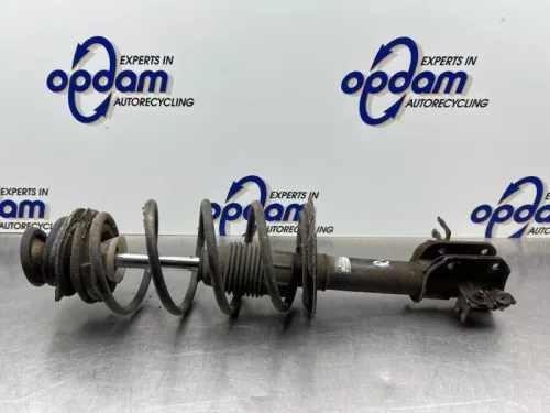 Schokdemperpoot rechts-voor-8291696