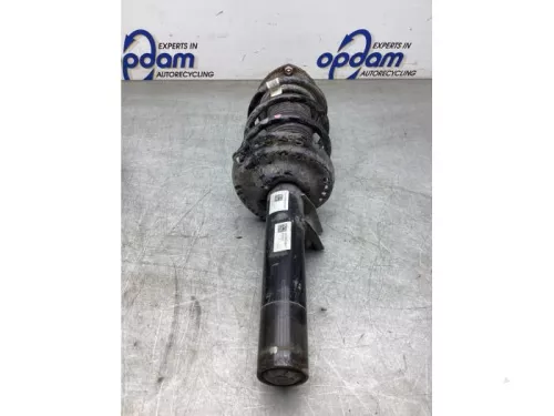 Schokdemperpoot rechts-voor-8191011