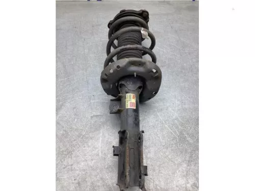 Schokdemperpoot rechts-voor-8035501