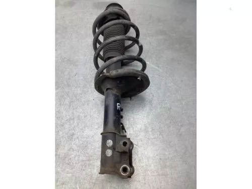 Schokdemperpoot rechts-voor-7328273