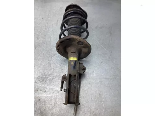 Schokdemperpoot rechts-voor-7860381