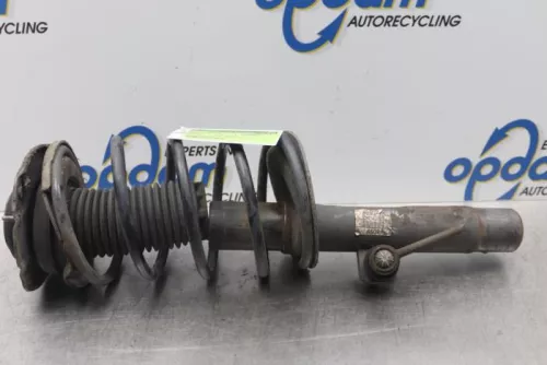 Schokdemperpoot rechts-voor-7612044