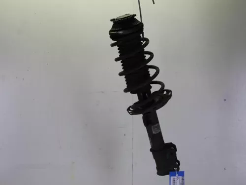 Schokdemperpoot rechts-voor-7884077