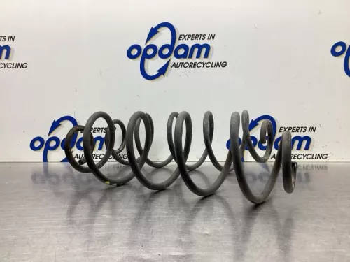 Schroefveer achter-8063408