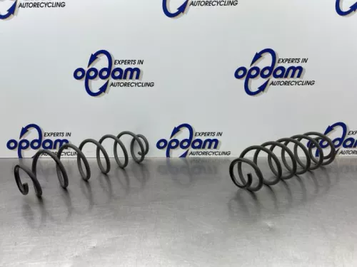 Schroefveer achter-8304428