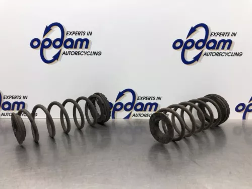 Schroefveer achter-8119845