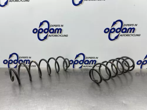 Schroefveer achter-8170729