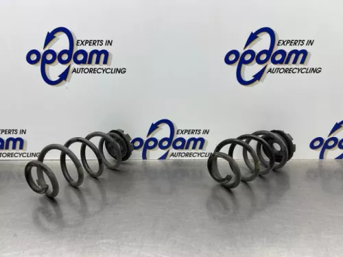 Schroefveer achter-8315005