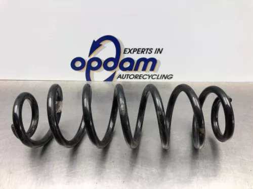 Schroefveer achter-8103069