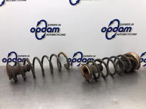 Schroefveer achter-8188469