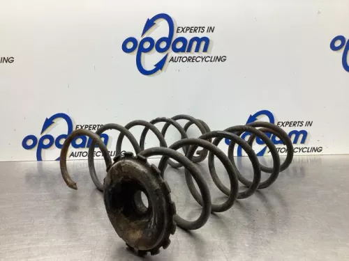 Schroefveer achter-8035022