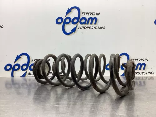 Schroefveer achter-7937510