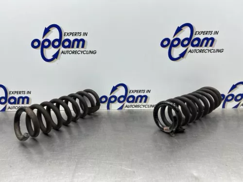 Schroefveer achter-8301318