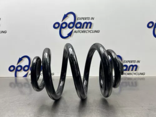 Schroefveer achter-8310699