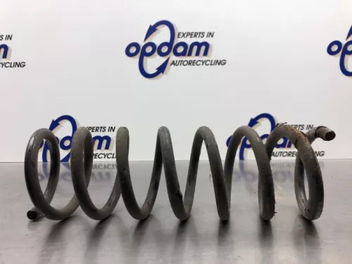 Schroefveer achter-8162774