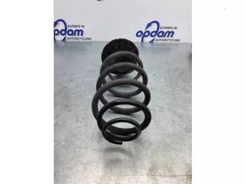 Schroefveer achter-7856217