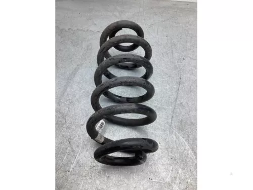 Schroefveer achter-8030427