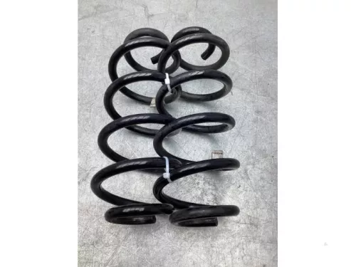 Schroefveer achter-7435092