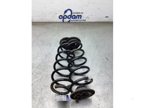 Schroefveer achter-8277657